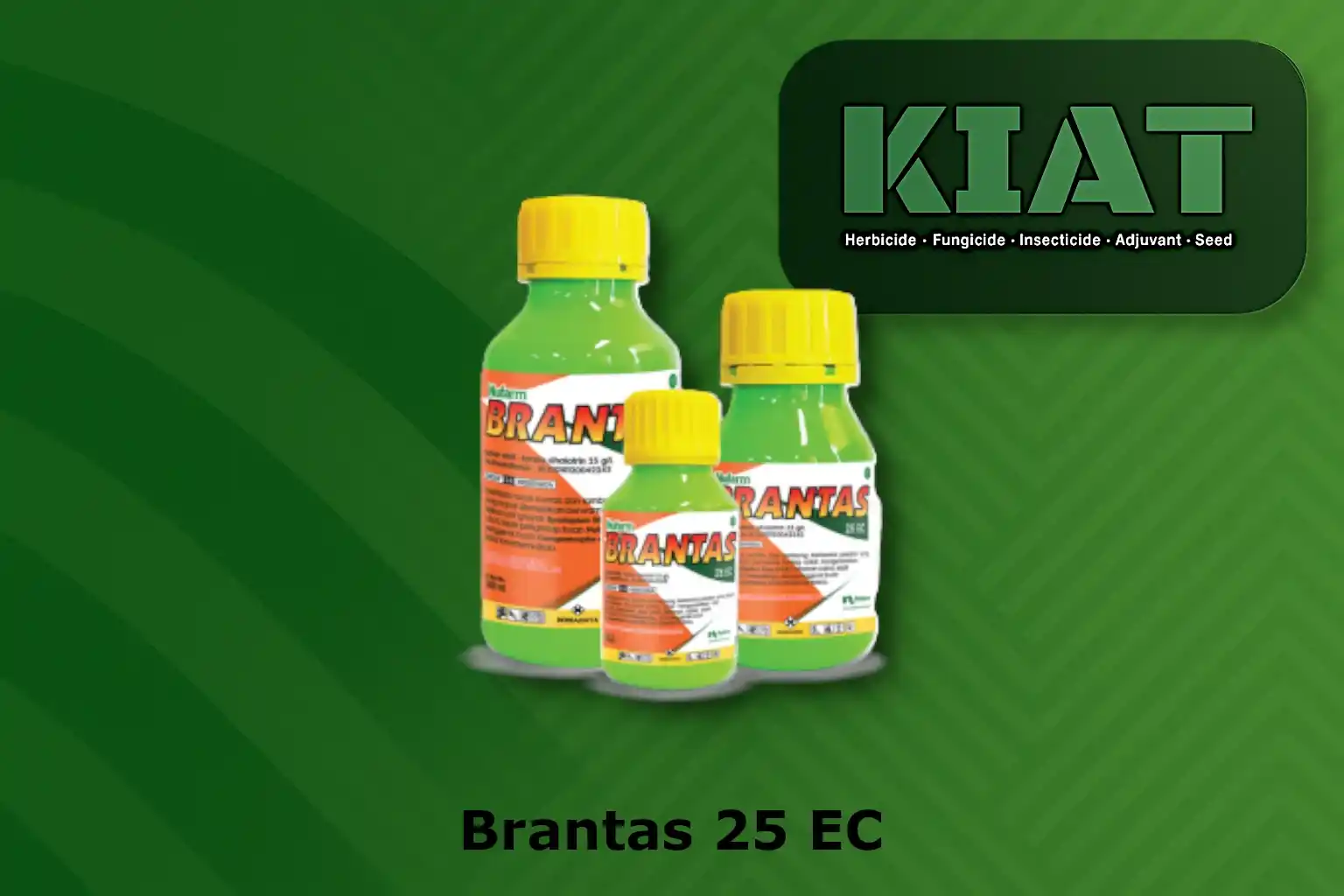 Brantas 25 EC